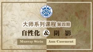心理分析名师讲坛第四期丨Murray Stein自性化丨 Ann Casement阴影（大师系列课程）